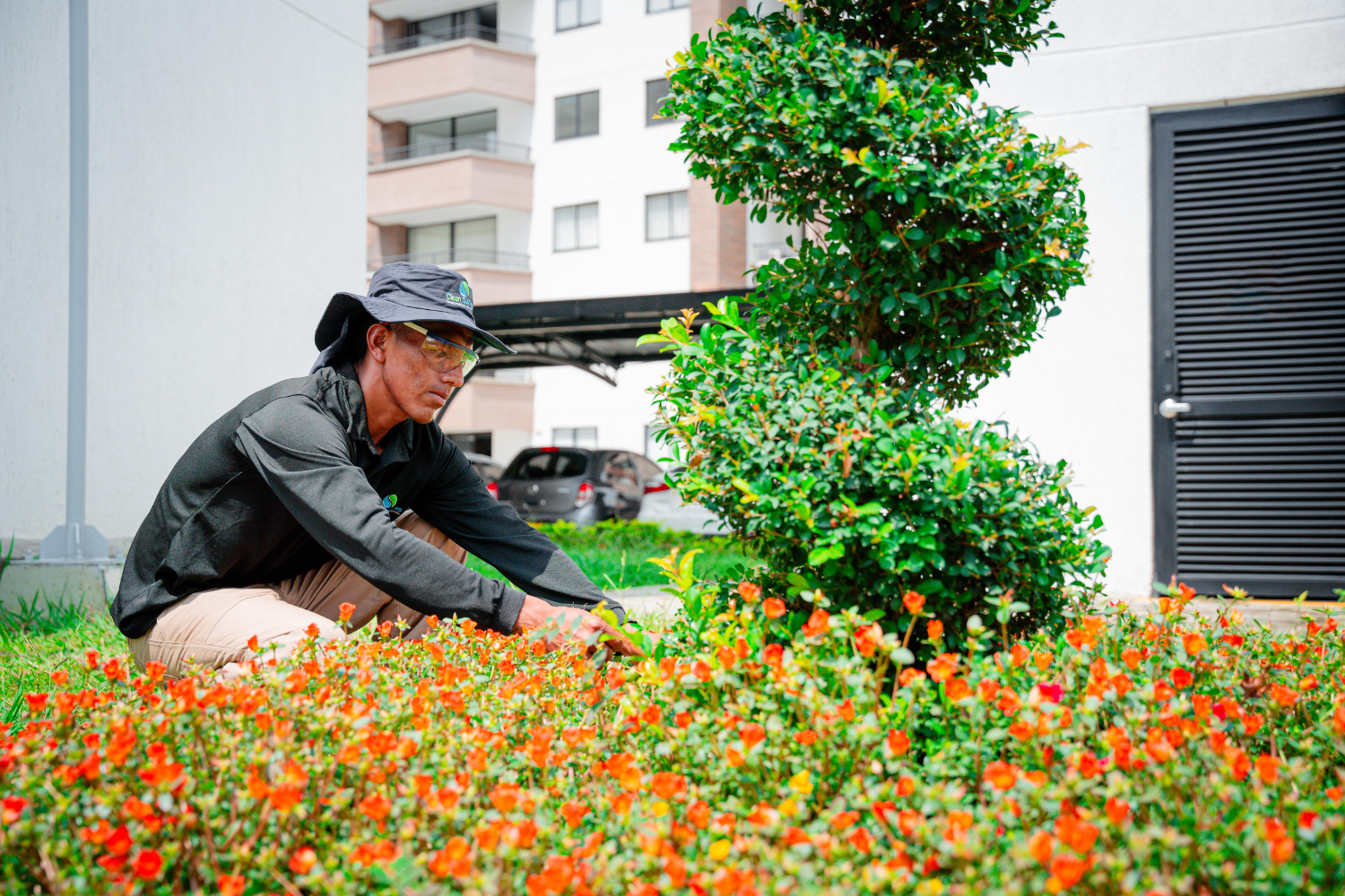 Técnico con equipo de protección aplicando tratamiento fitosanitario y control de plagas en la zona de juegos de un conjunto residencial en Cali.