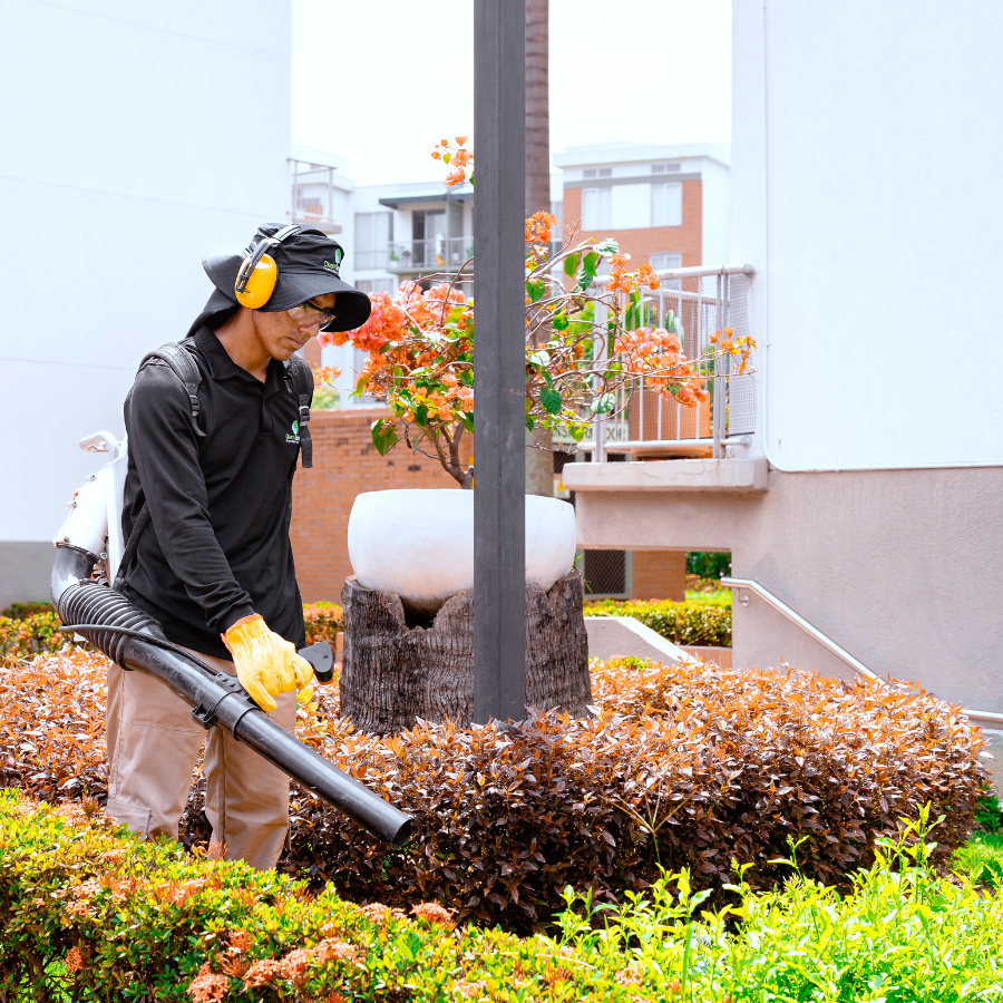 Profesional de jardinería realizando limpieza detallada con sopladora en la entrada de un conjunto de apartamentos en el sur de Cali.