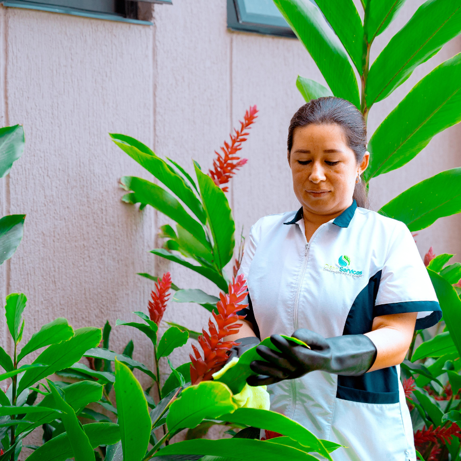 Operaria de mantenimiento profesional cuidando y limpiando plantas ornamentales en área común de conjunto residencial.